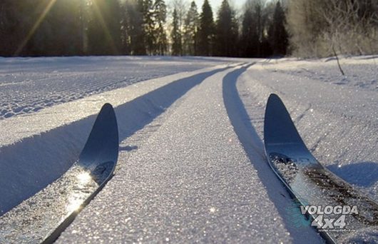 Давайте вместе беречь лыжные трассы!